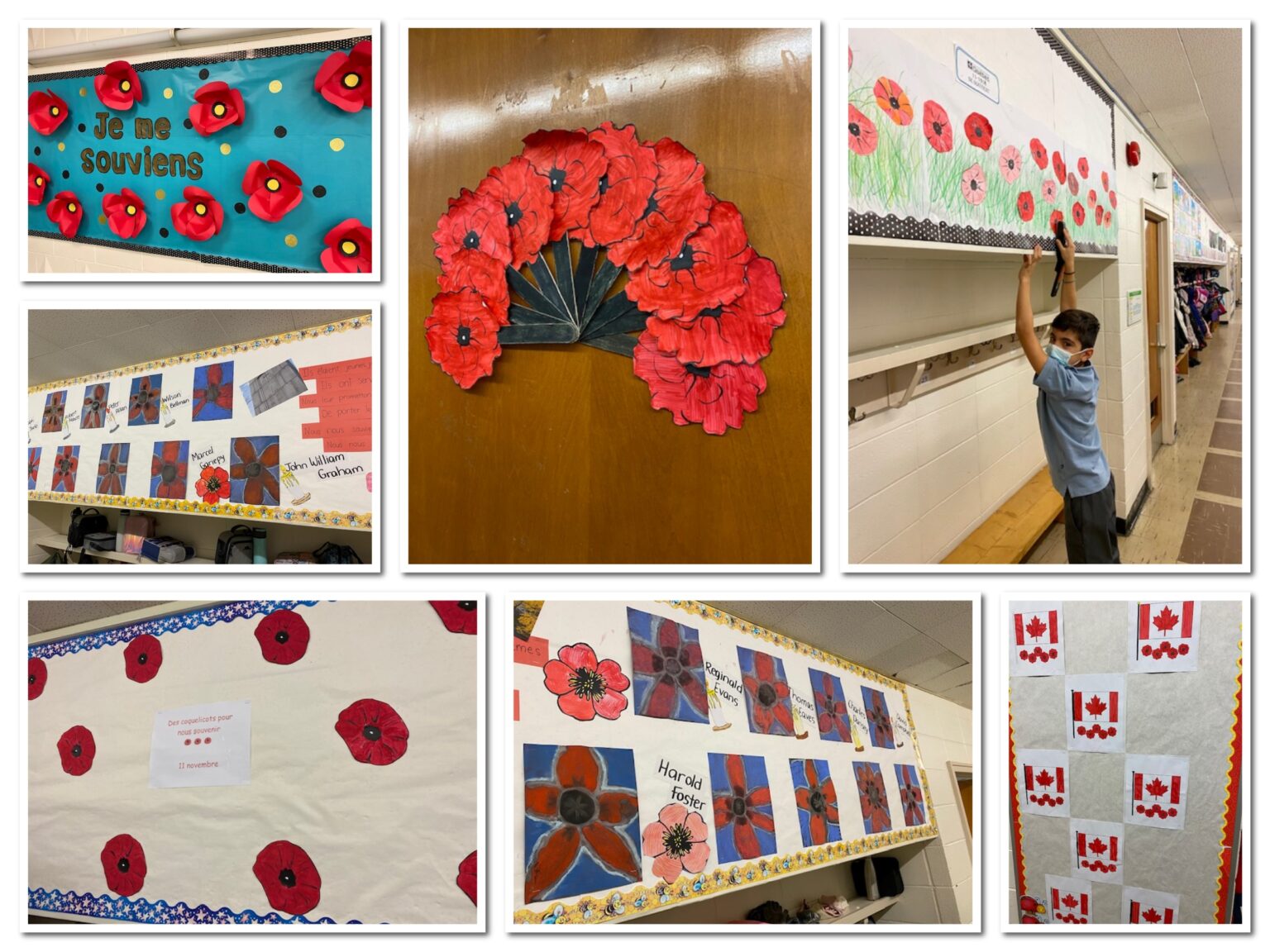 Remembrance day video for primary school